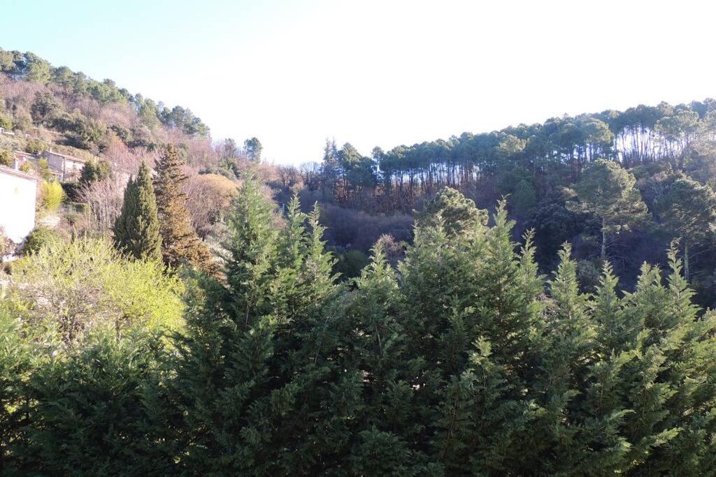 Les Chataigniers Appartement Meuble Saint-Sebastien  Luaran gambar